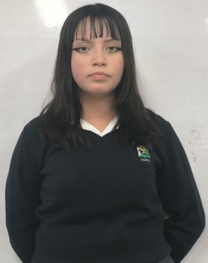 Fotograf&iacute;a